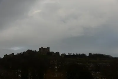 DSC_1337 (Large).JPG